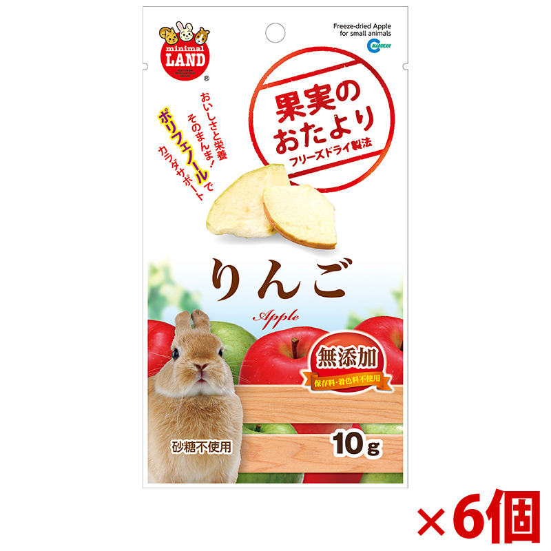 【アウトレット】[マルカン]果実のおたより りんご 10g×6個