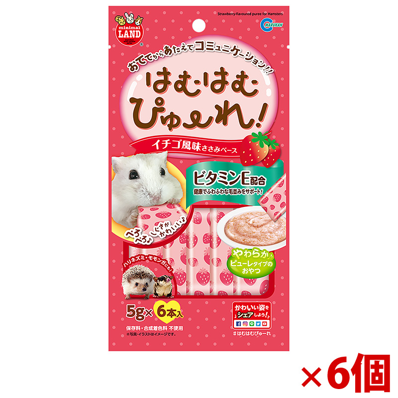 【アウトレット】[マルカン]はむはむぴゅーれ イチゴ風味 5g×6本×6個