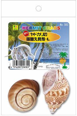 ［三晃商会］ヤドカリの 宿替え貝がらL