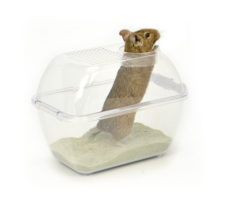 三晃商会] デグー砂浴び バスハウス | ペットフード・ペット用品の卸売・仕入はPETポチッと ラブリー・ペット商事
