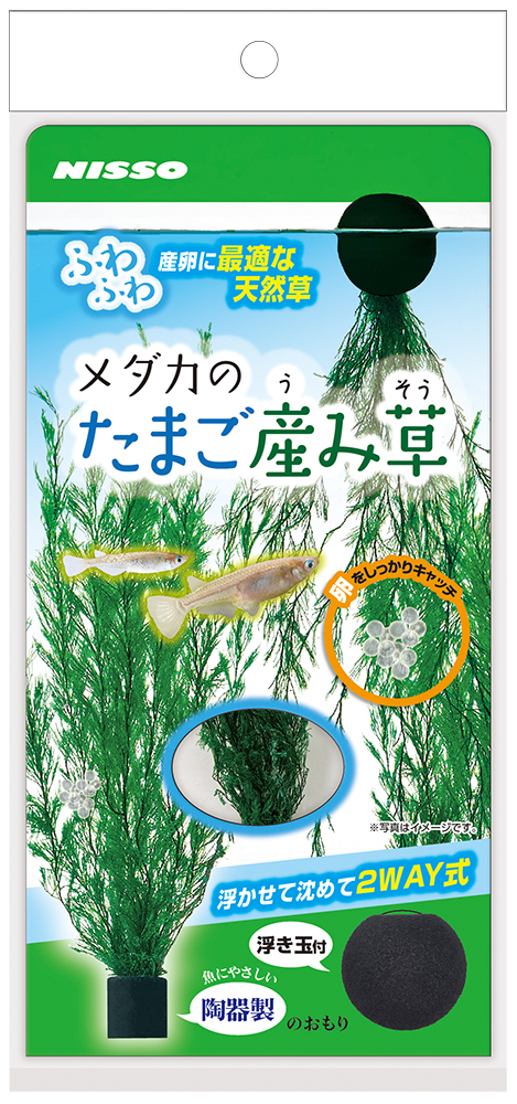 ［マルカン ニッソー(直送)］メダカのたまご産み草 ※メーカー直送となります。※発注単位・最低ご購入金額にご注意下さい