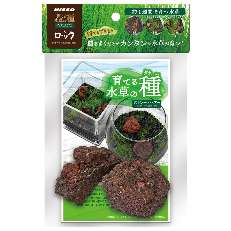 ［マルカン ニッソー］育てる水草の種 ストレートヘアー＆ロック