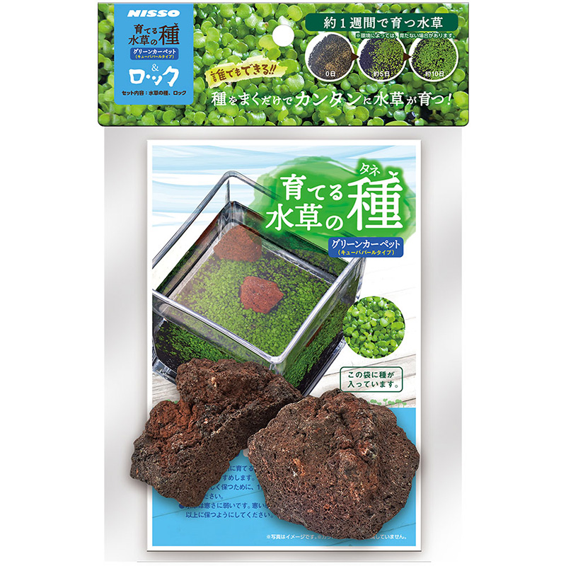 ［マルカン ニッソー(直送)］育てる水草の種グリーンカーペット＆ロック ※メーカー直送となります。※発注単位・最低ご購入金額にご注意下さい
