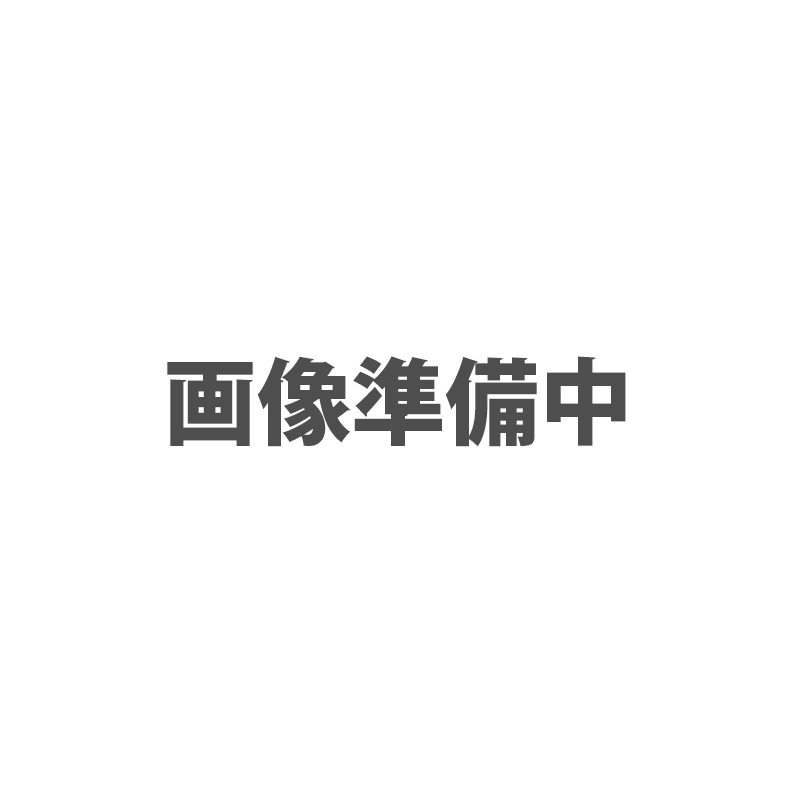 【アウトレット】[マルカン ニッソー]コンパクトパワーフィルターL