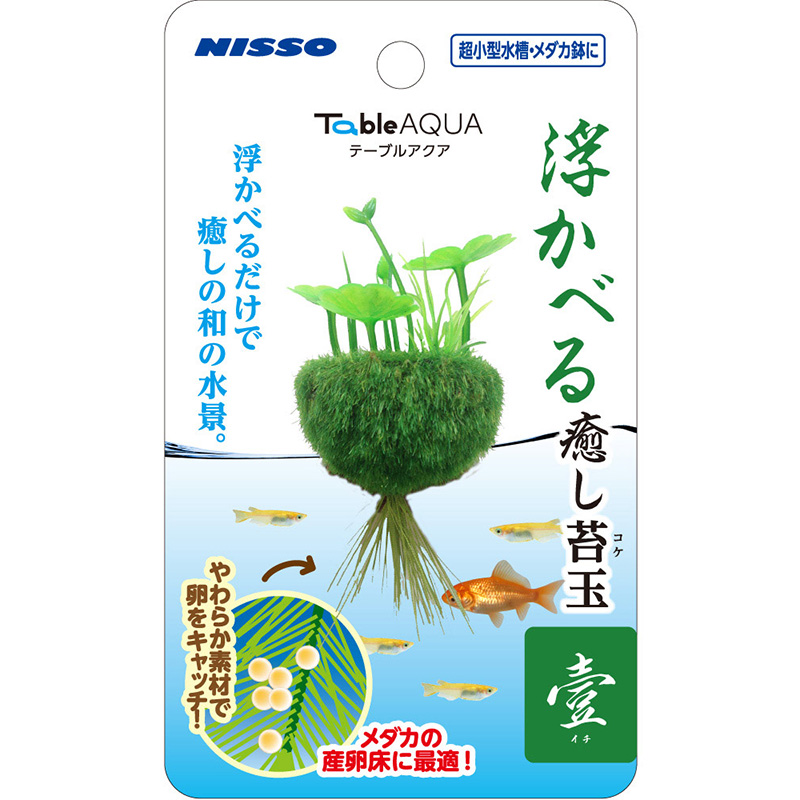 ［マルカン ニッソー(直送)］テーブルアクア 浮かべる癒し苔玉 壹(イチ) NAP-573 ※メーカー直送となります。※発注単位・最低ご購入金額にご注意下さい
