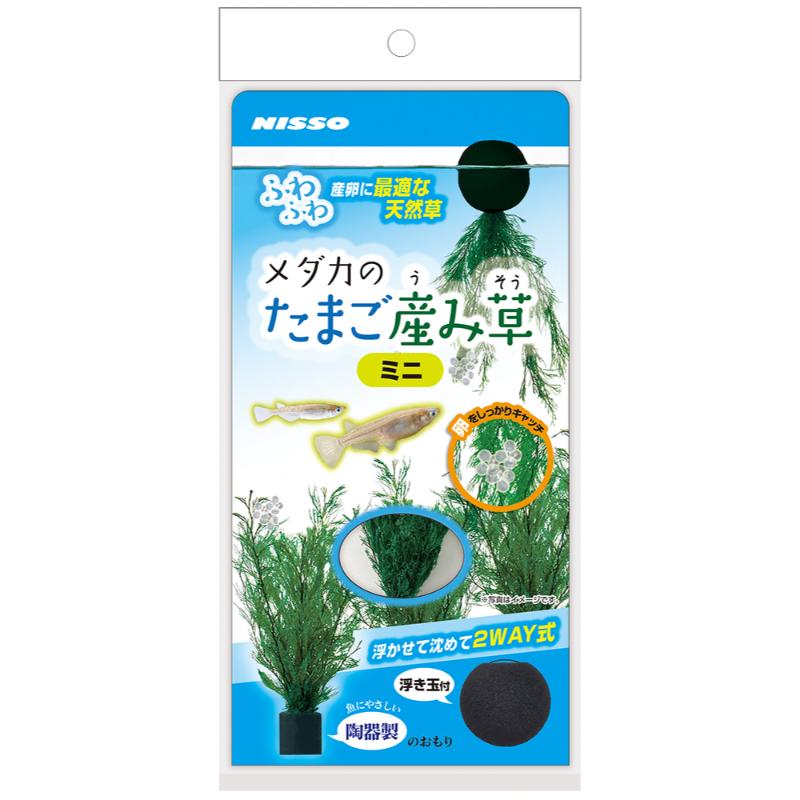 ［マルカン ニッソー］メダカのたまご産み草 ミニ