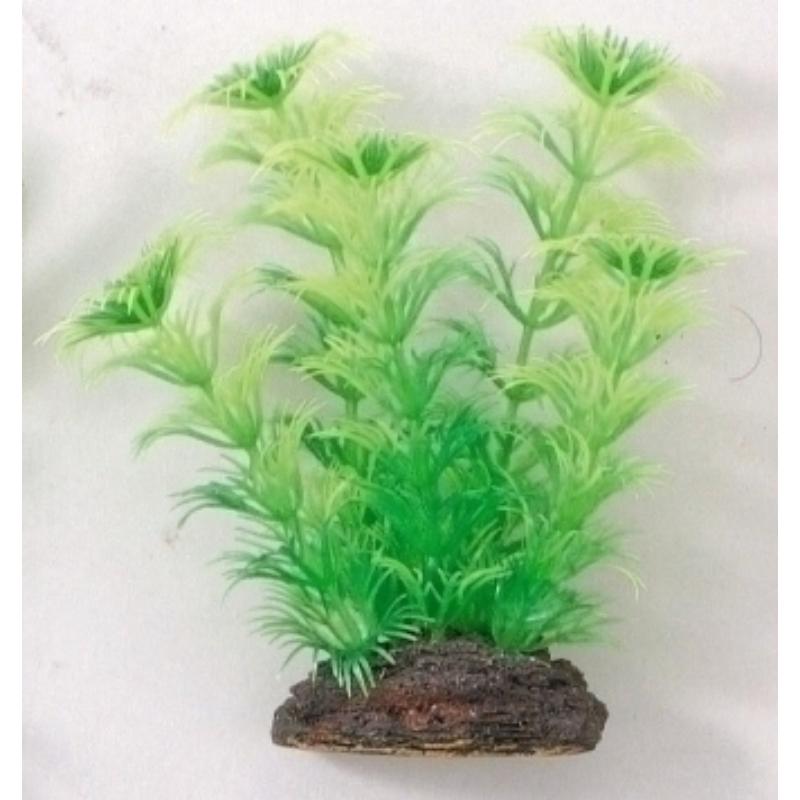 ［マルカン ニッソー］アクアティックプランツ M-6 NAP-365