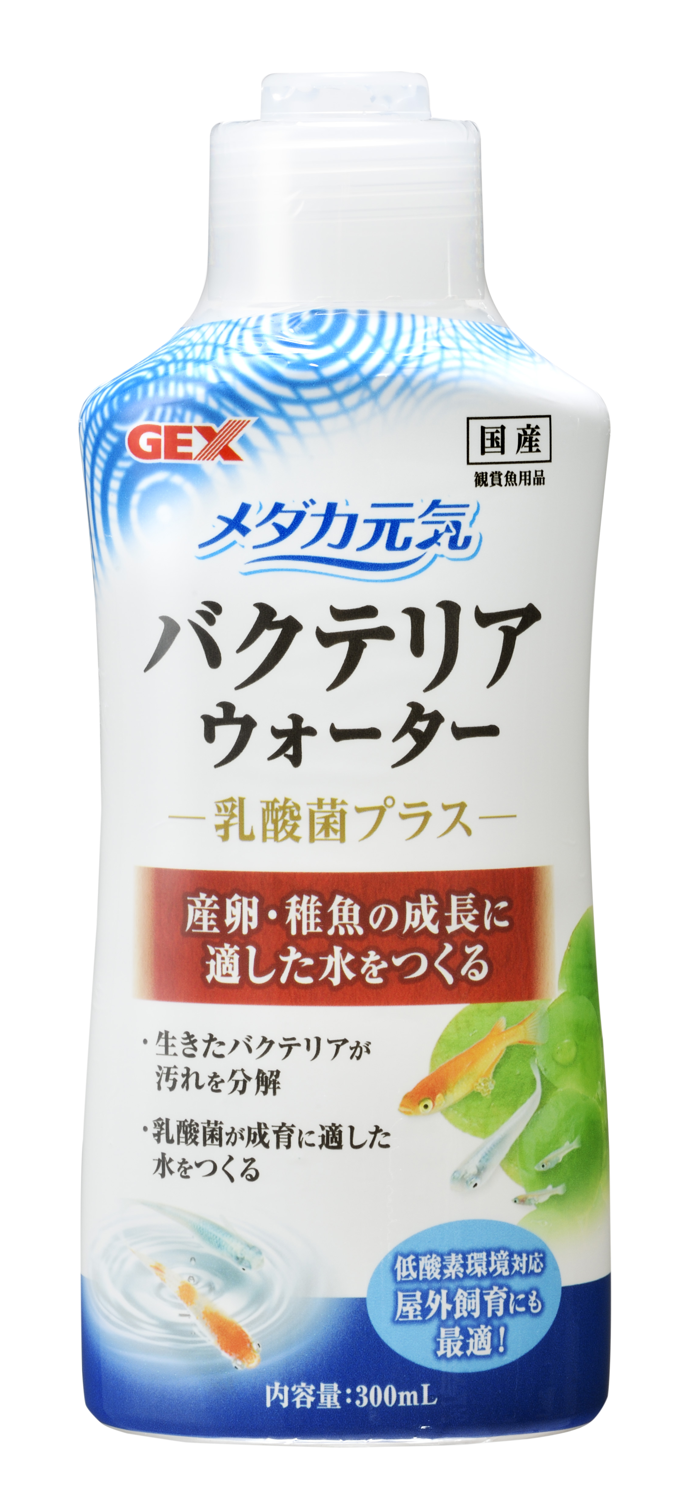 [ジェックス(直送：小動物・観賞魚)] メダカ元気 バクテリアウォーター 300ml ※メーカー直送となります。※発注単位・最低ご購入金額にご注意下さい