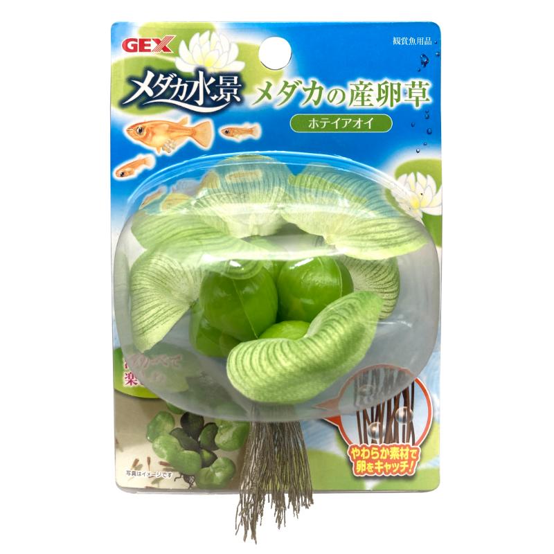 ［ジェックス］メダカ水景 メダカの産卵草 ホテイアオイ