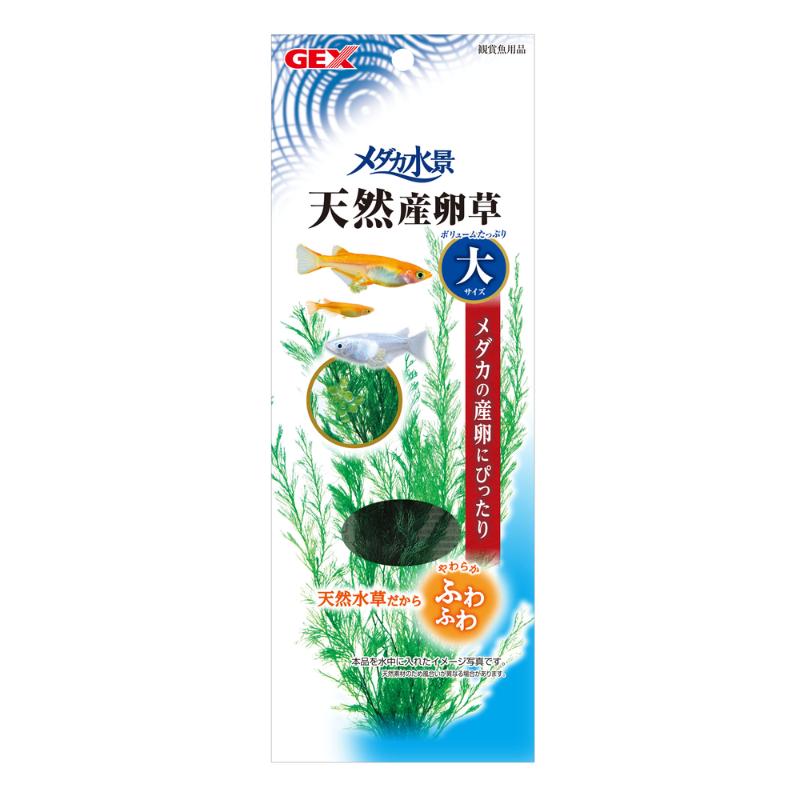 ［ジェックス］メダカ水景 天然産卵草 大