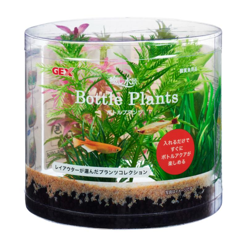 [ジェックス]癒し水景 ボトルプランツ ミリオフィラム