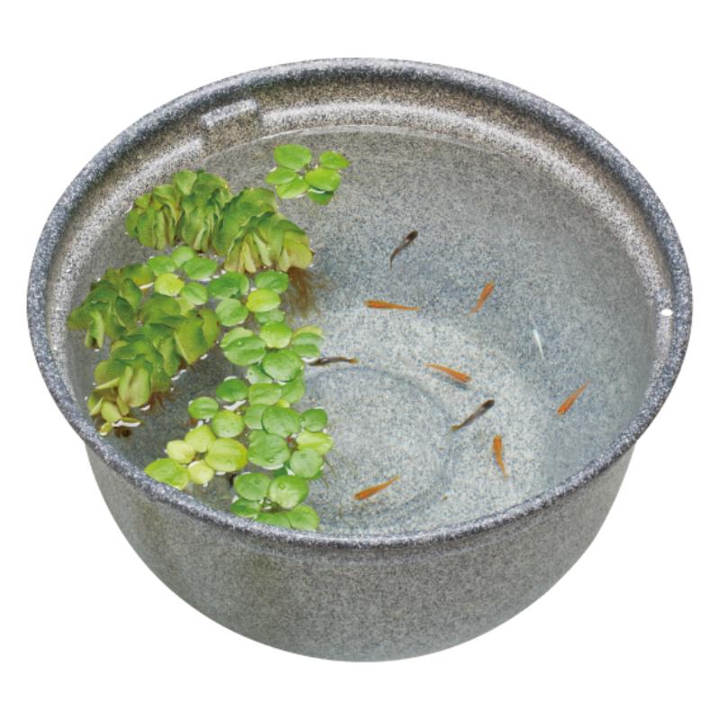 ［ジェックス］メダカ元気 メダカのための飼育鉢 みかげ370