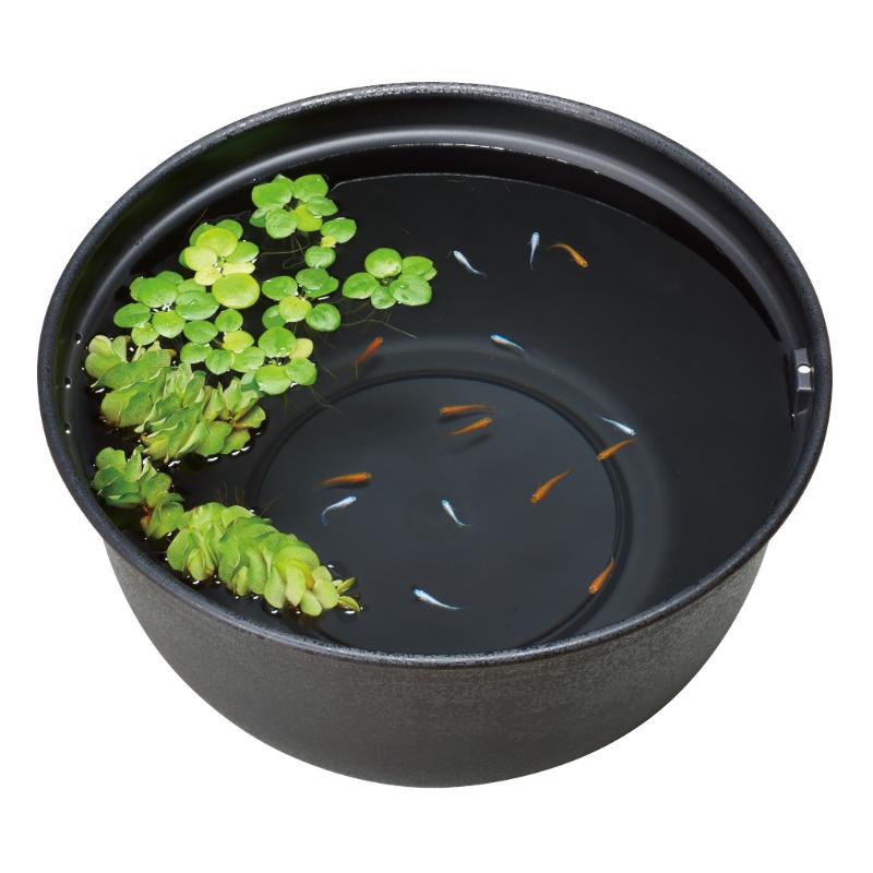 ［ジェックス］メダカ元気 メダカのための飼育鉢 黒420