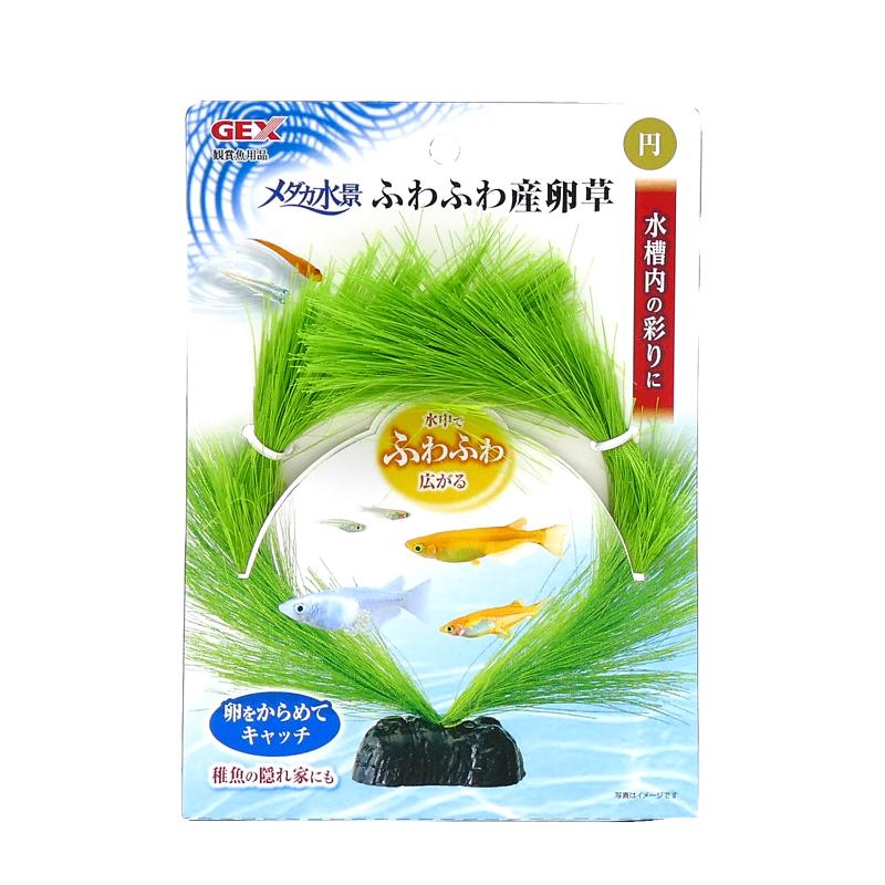 ［ジェックス］メダカ水景 ふわふわ産卵草 円