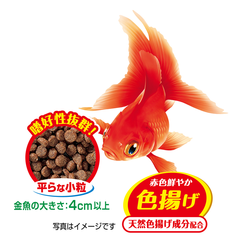 ジェックス 金魚元気 やさしいプロバイオフード 165g ペット用品の仕入は Petポチッと で