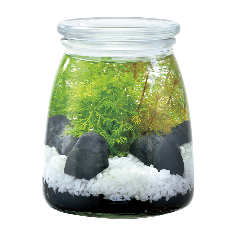 ジェックス] ボトリウム ネイチャーセット ホワイト | ペットフード・ペット用品の卸売・仕入はPETポチッと ラブリー・ペット商事