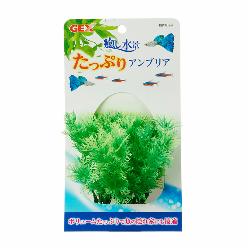 [ジェックス(直送：小動物・観賞魚)] 癒し水景 たっぷり アンブリア ※メーカー直送となります。※発注単位・最低ご購入金額にご注意下さい