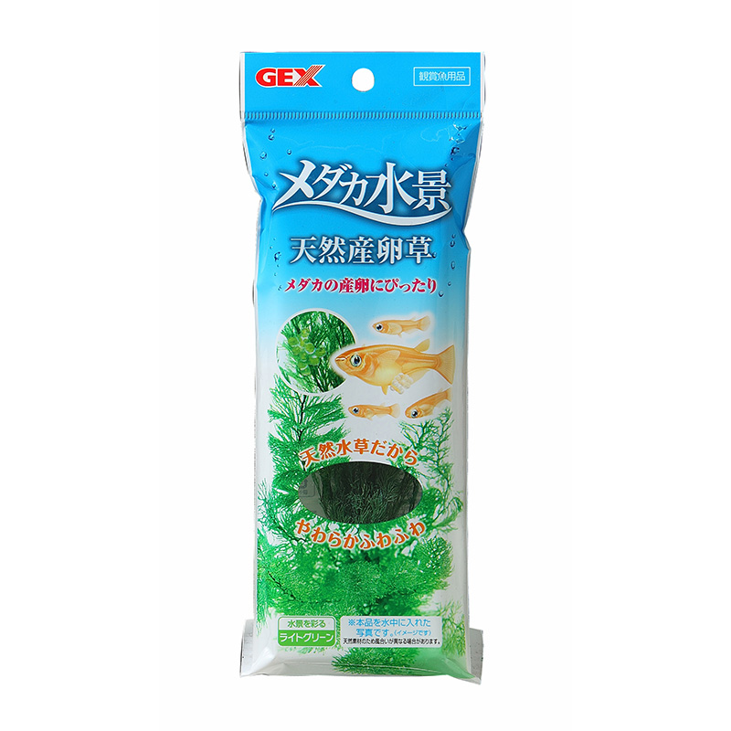 [ジェックス(直送：小動物・観賞魚)] メダカ水景 天然産卵草 ※メーカー直送となります。※発注単位・最低ご購入金額にご注意下さい