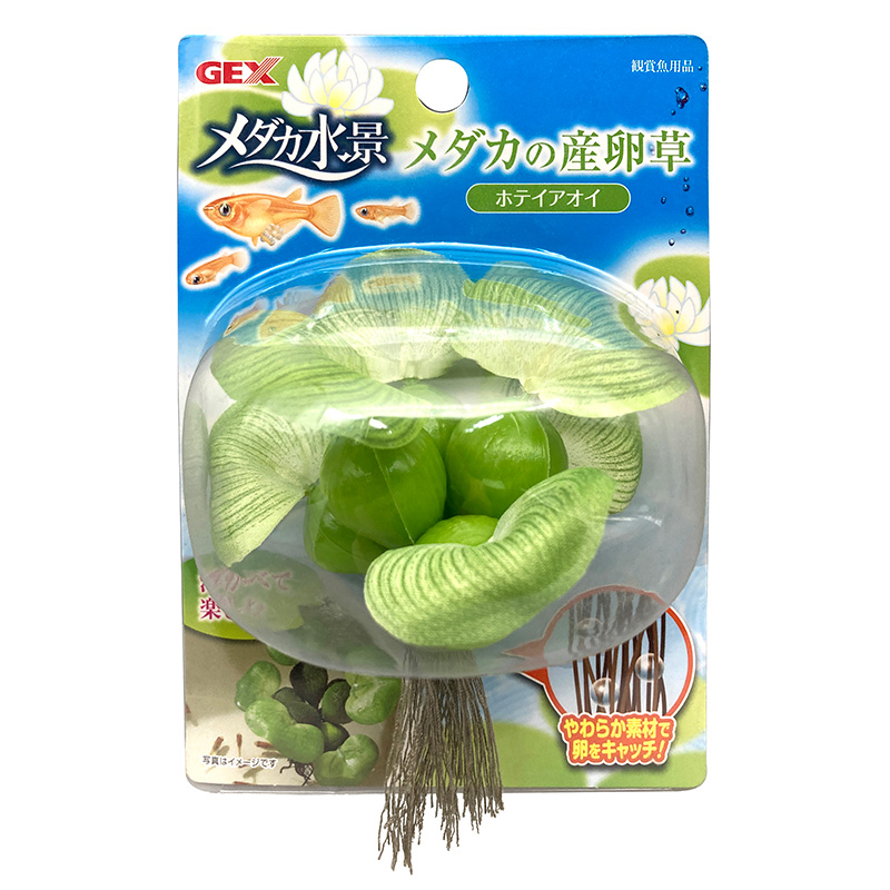 [ジェックス(直送：小動物・観賞魚)] メダカ水景 メダカの産卵草 ホテイアオイ ※メーカー直送となります。※発注単位・最低ご購入金額にご注意下さい