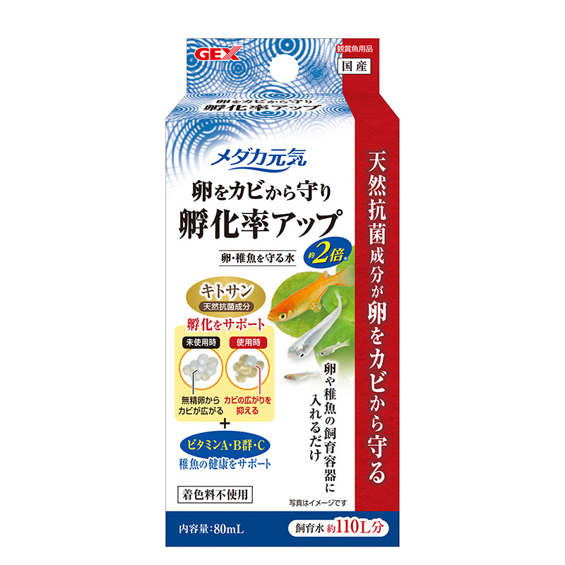 [ジェックス(直送：小動物・観賞魚)] メダカ元気 卵・稚魚を守る水 80mL ※メーカー直送となります。※発注単位・最低ご購入金額にご注意下さい