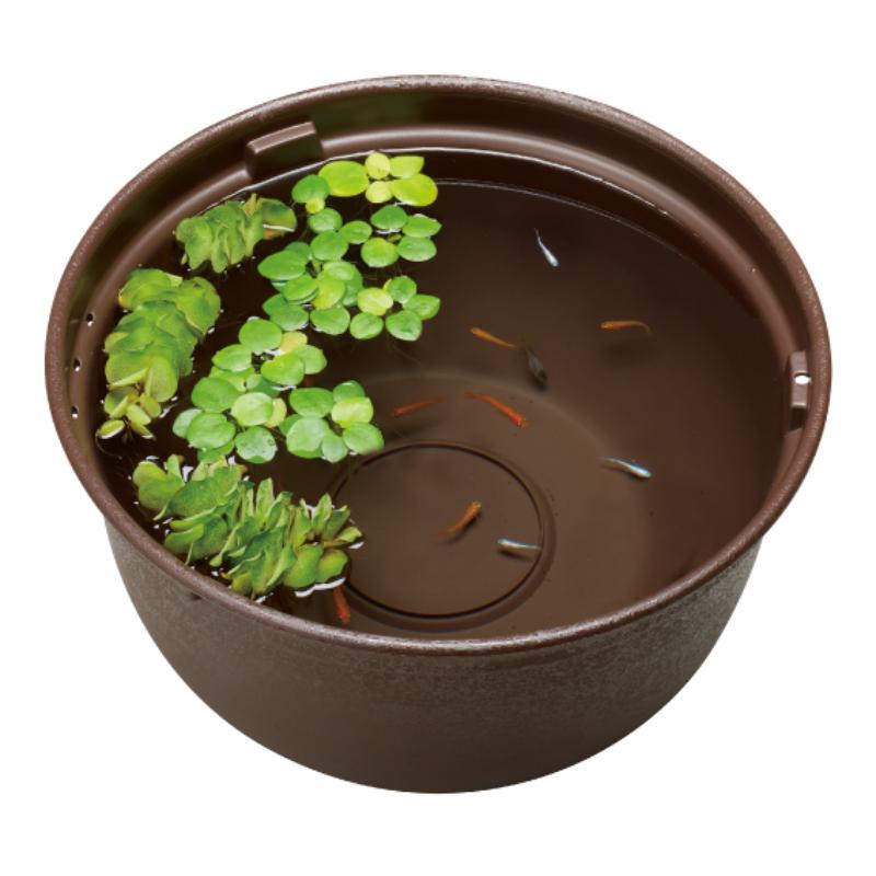 【アウトレット】［ジェックス］メダカ元気 メダカのための飼育鉢 こげ茶