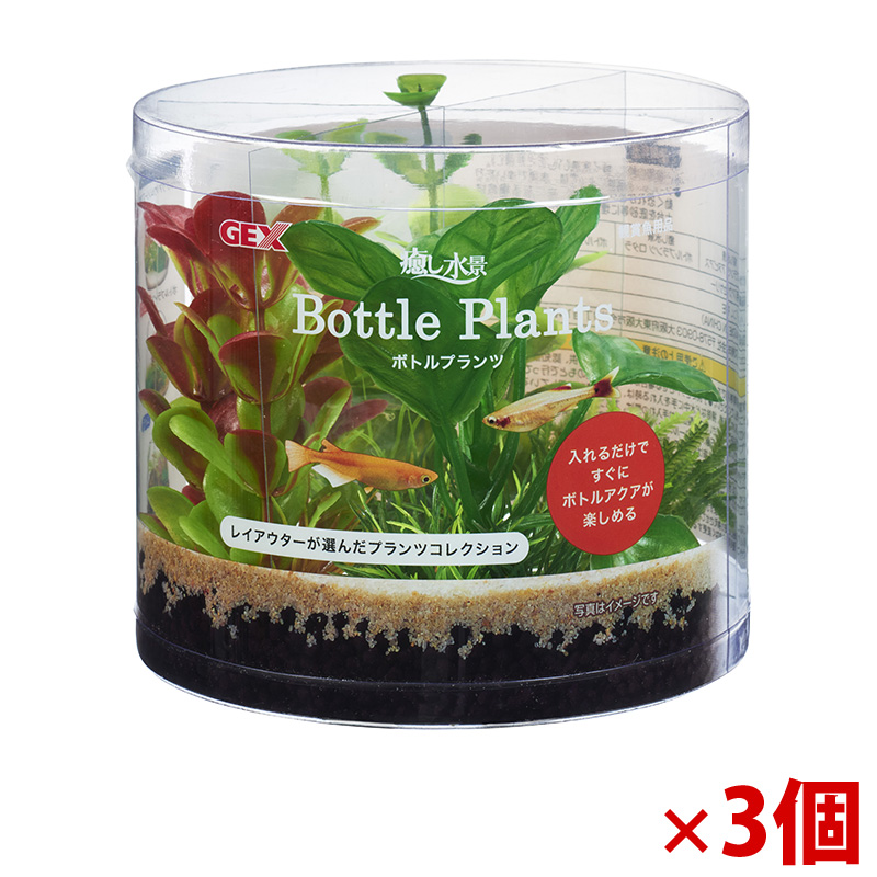 【アウトレット】［ジェックス］癒し水景 ボトルプランツ アヌビアス×3個