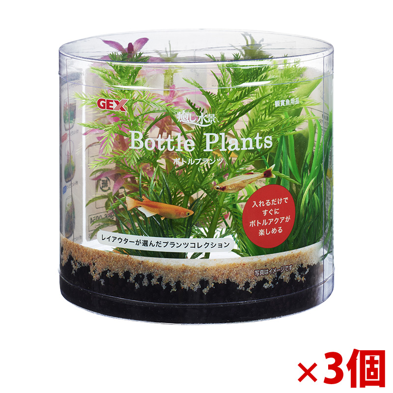【アウトレット】［ジェックス］癒し水景 ボトルプランツ ミリオフィラム×3個