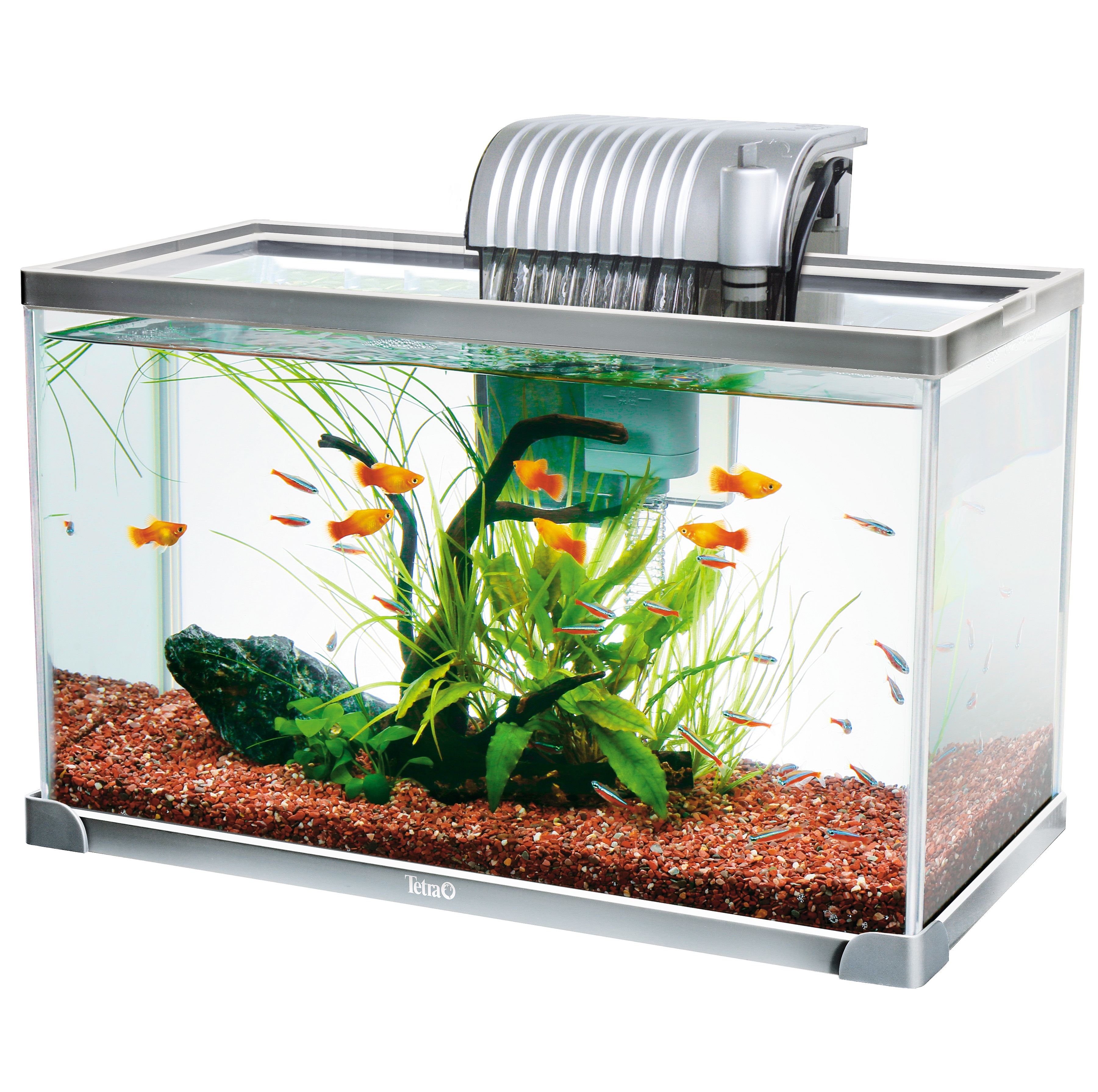 スペクトラムブランズジャパン テトラ アクアリウムセット Ag 42gf ペット用品の仕入は Petポチッと で