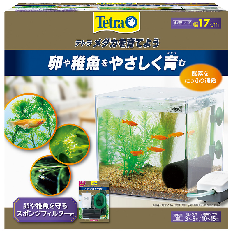 セット水槽 | ペットフード・ペット用品の卸売・仕入はPETポチッと ラブリー・ペット商事