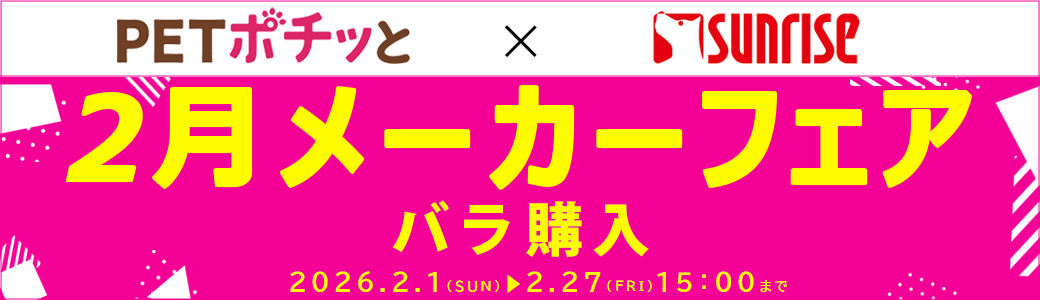 マルカンサンライズ（バラ購入（倉出し））