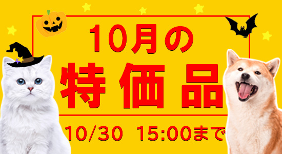 10月特価