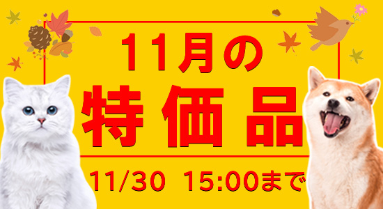 11月特価