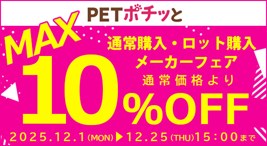 メーカーフェア12月