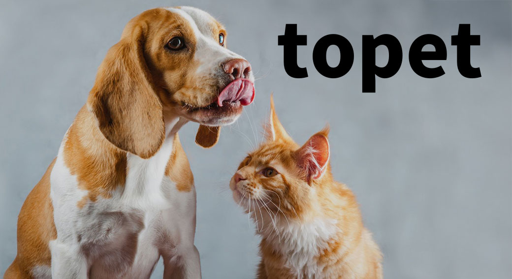 株式会社 topet