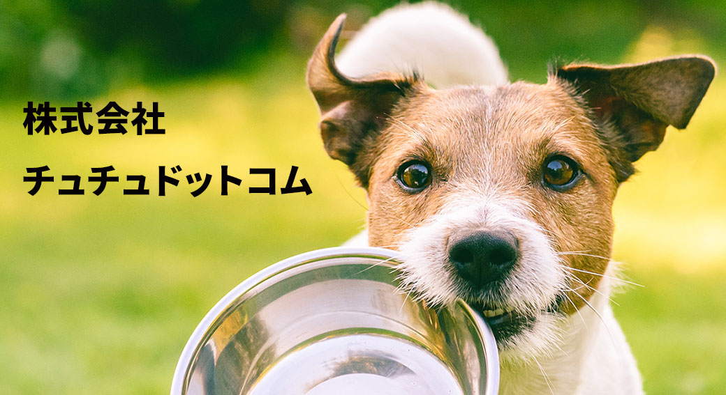 株式会社 チュチュドットコム