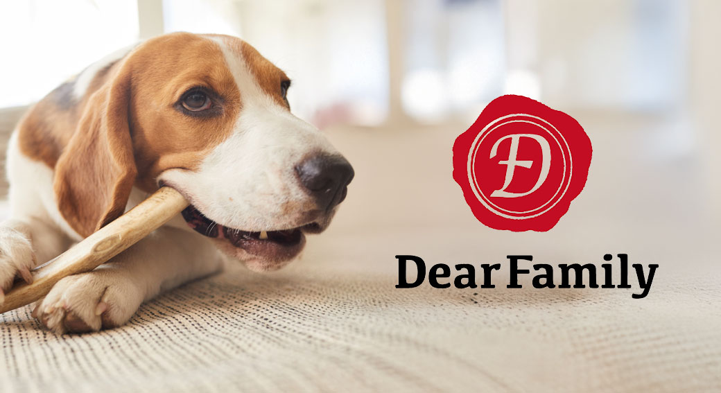 株式会社 SHINDEN