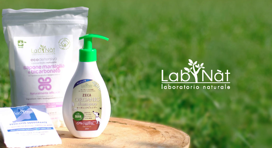 有限会社 シャンテ