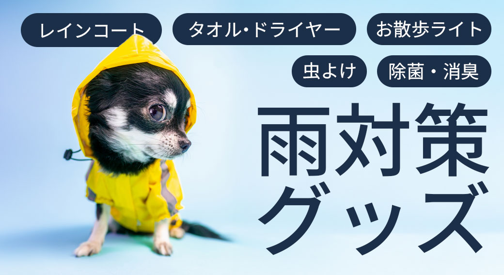 梅雨の売上を最大化！雨対策グッズ