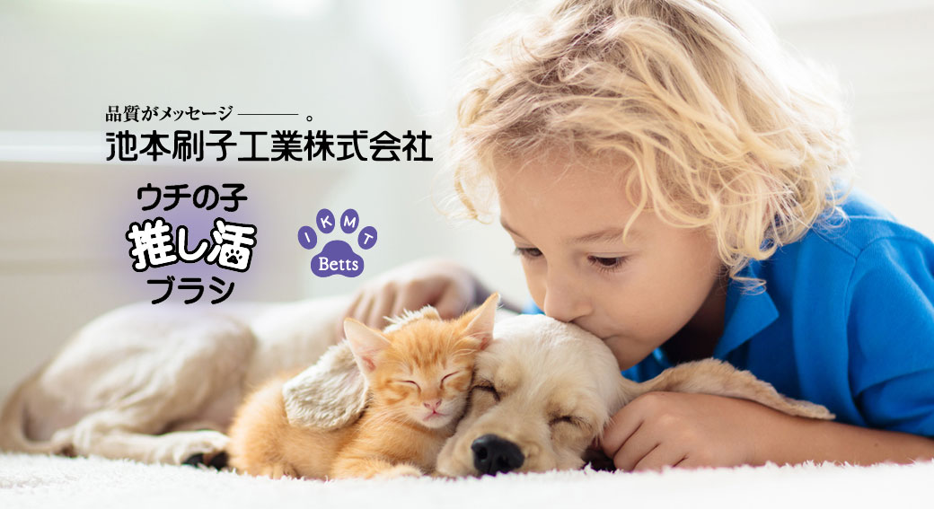 池本刷子工業 株式会社