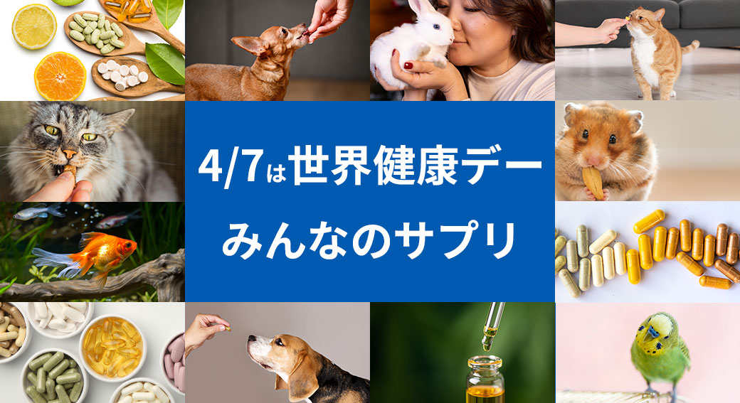 4/7は世界健康デー！ペットみんなのサプリ