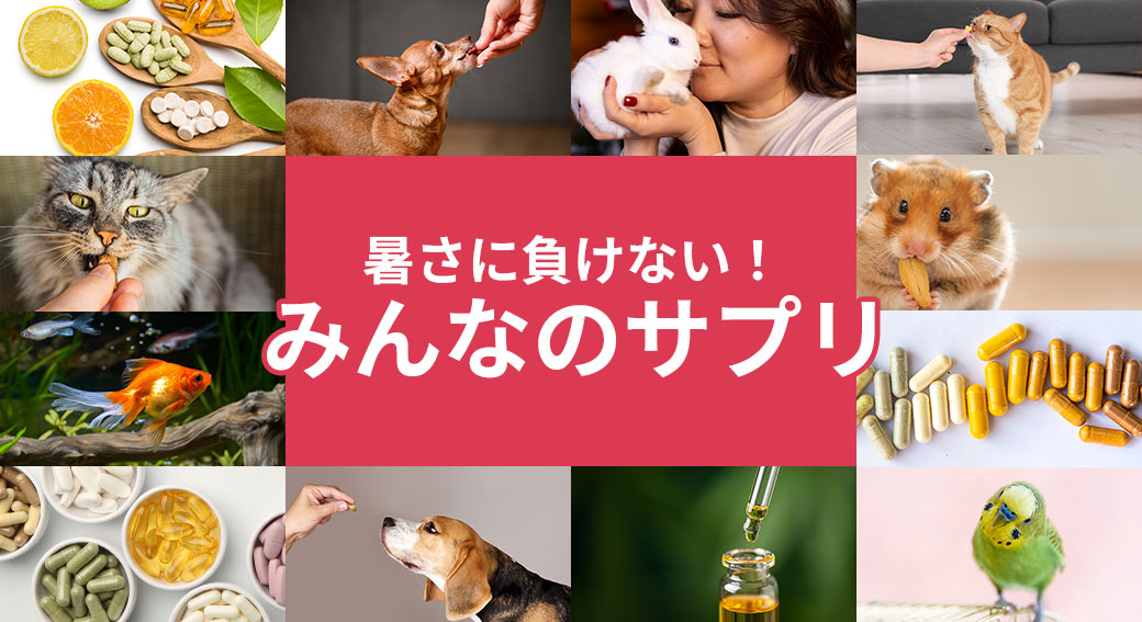 みんなのサプリ