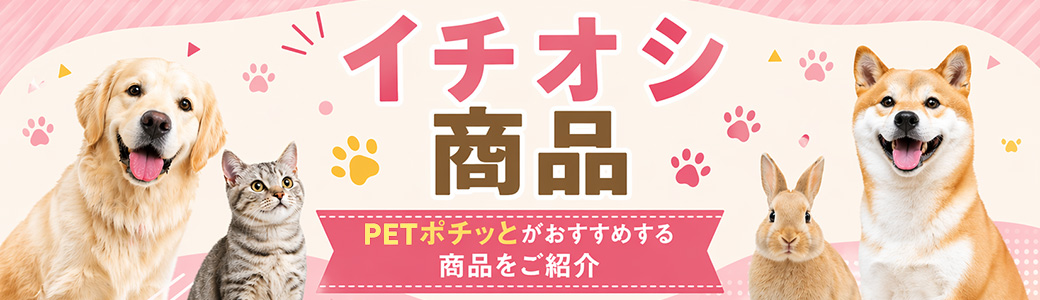 イチオシ商品