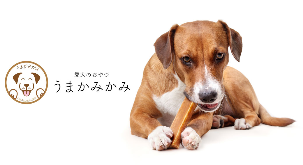 株式会社 JCM
