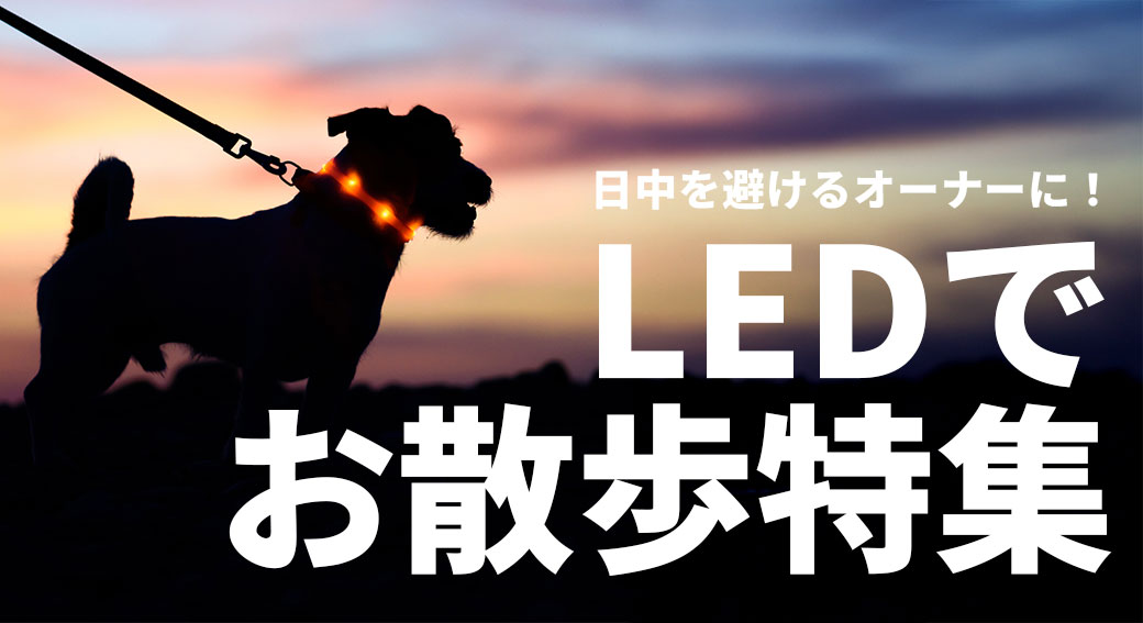 日中を避けるオーナー急増中！LEDでお散歩特集