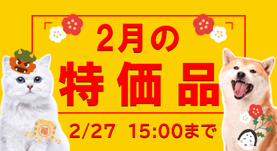 2月特価