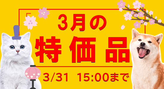 3月特価