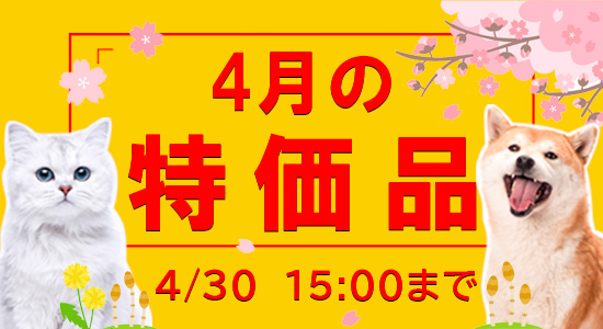 4月特価
