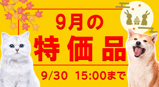 9月特価
