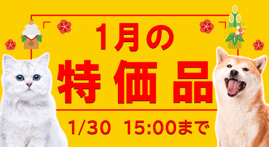 1月特価