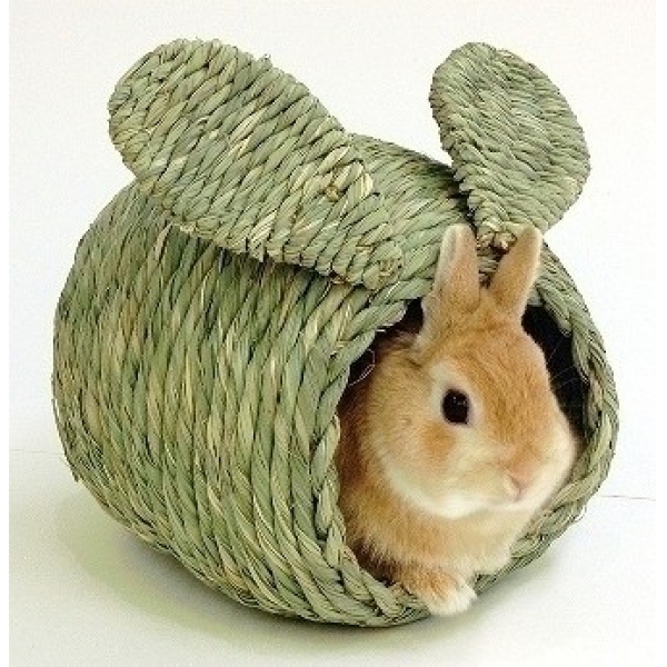 株式会社 川井 ペット用品の仕入は Petポチッと で